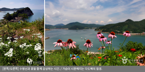 [왼쪽/오른쪽]수평선과 꽃을 함께 감상하는 시간 / 가슴이 시원해지는 다도해의 절경