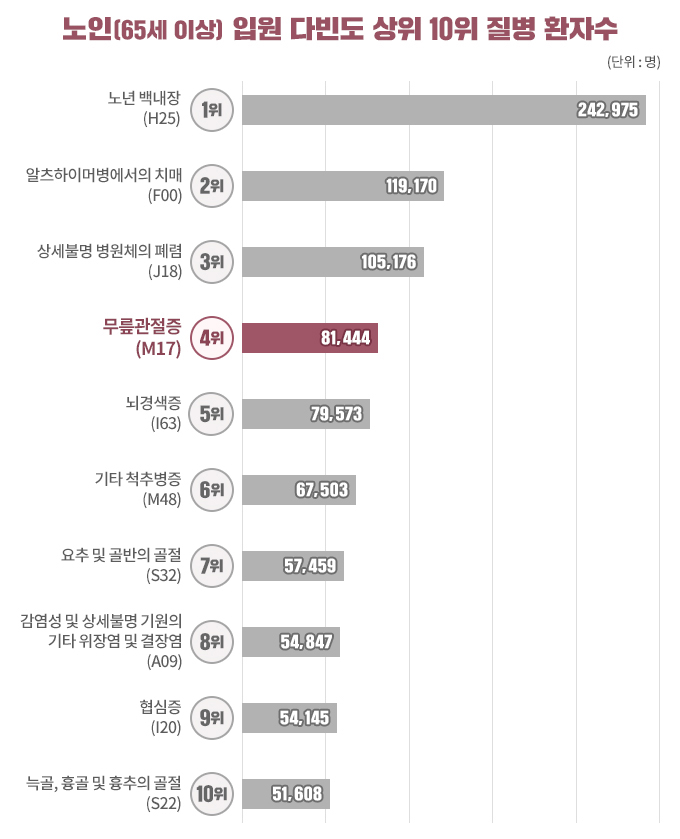 노인 다빈도 질환 표