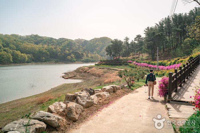 강을 따라 보이는 봄의 부소담악 - 한국관광공사