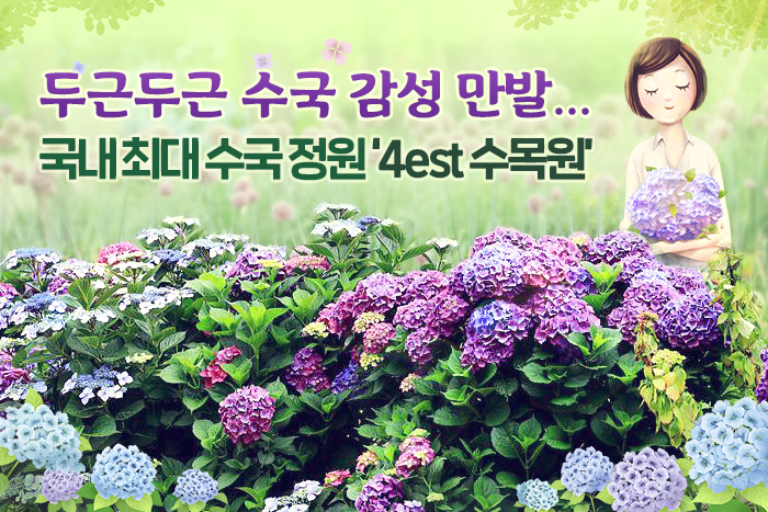 두근두근 수국 감성 만발…국내 최대 수국 정원 ‘4est 수목원’