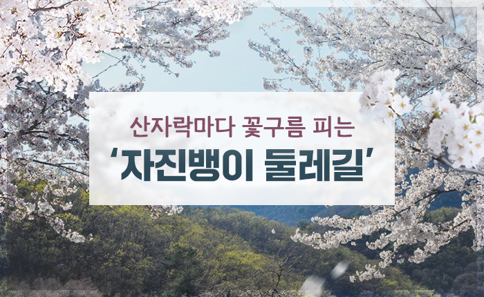 산자락마다 꽃구름 피는 ‘자진뱅이 둘레길’