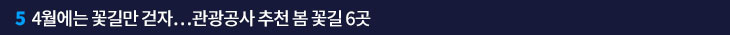 5. 4월에는 꽃길만 걷자…관광공사 추천 봄 꽃길 6곳