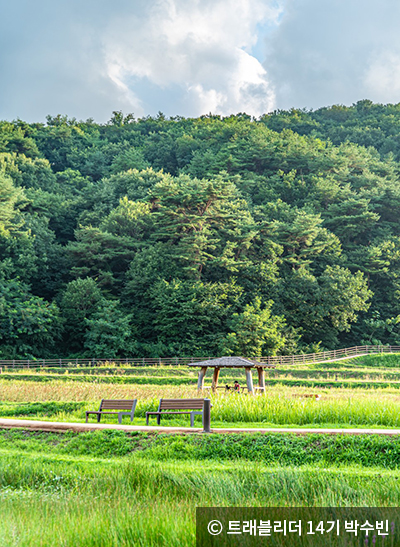 상당산성의 산책로 - ⓒ 트래블리더 14기 박수빈