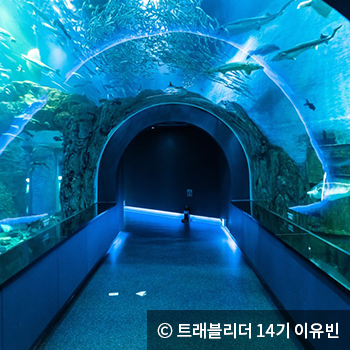 수중 터널 - ⓒ 트래블리더 14기 이유빈