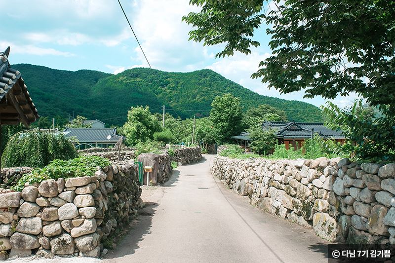 한밤마을 돌담길 ⓒ 다님 7기 김기쁨