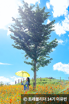 나무아래 사진찍기 ⓒ 트레블리더 14기 이유빈