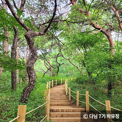숲길 가운데 있는 계단 ⓒ 다님 7기 박유정