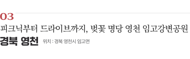 03 피크닉부터 드라이브까지, 벚꽃 명당 영천 임고강변공원 / 위치 : 경북 영천시 임고면 / 자세히보기
