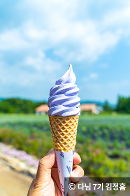 라벤더 아이스크림 ⓒ 다님 7기 김정흠