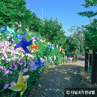 공원 산책길 꽃과 바람개비 ⓒ 다님 8기 한상렬
