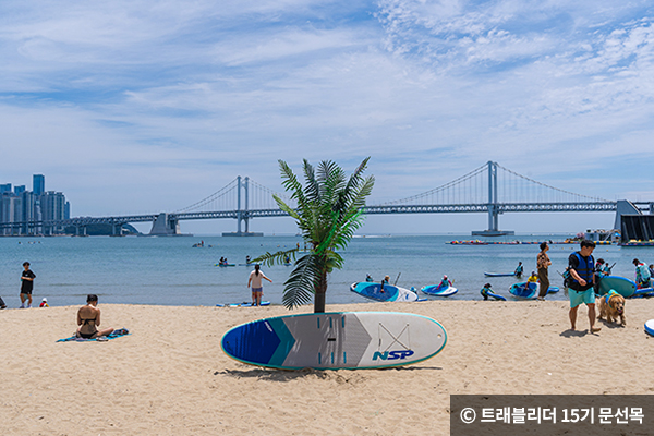 광안리 해변 야자수와 패들보드 ⓒ 트래블리더 15기 문선목