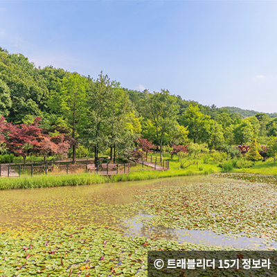 수목원 내에 위치한 작은 호수인 매룡지 ⓒ 트래블리더 15기 정보라