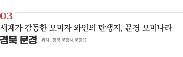 03 세계가 감동한 오미자 와인의 탄생지, 문경 오미나라 / 위치 : 경북 문경시 문경읍 / 자세히보기