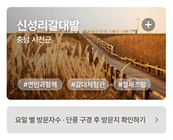 신성리갈대박 충남 서천군 #연인과함께 #갈대체험관 #철새조망