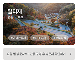 말티재 충북 보은군 #이색관광지 #INFP혼행 #꼬부랑길