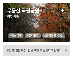 무등산 국립공원 광주 동구 #등산여행 #생태관광 #한국관광100선