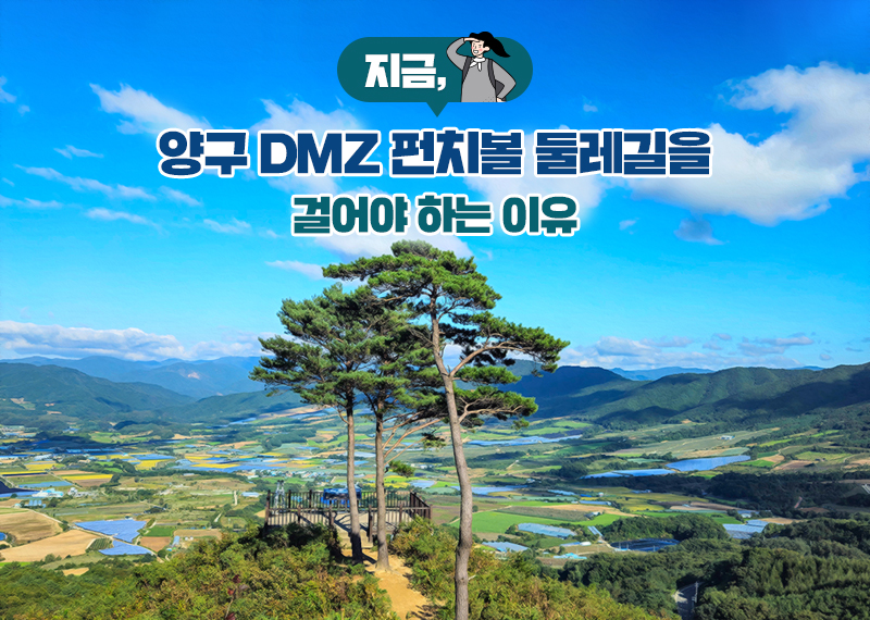 지금, 양구 DMZ 펀치볼 둘레길을 걸어야 하는 이유