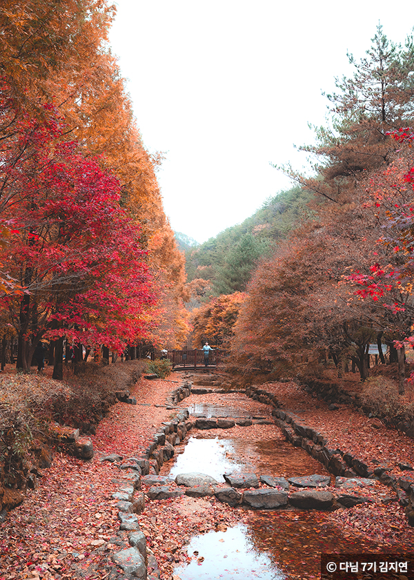 산책로 바로 옆에는 계곡 ⓒ 다님 7기 김지연