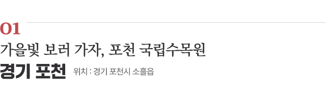 01 가을빛 보러 가자, 포천 국립수목원 / 위치 : 경기 포천시 소흘읍 / 자세히보기