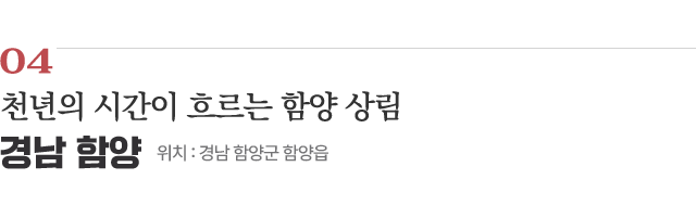 04 천년의 시간이 흐르는 함양 상림 / 위치 : 경남 함양군 함양읍 / 자세히보기