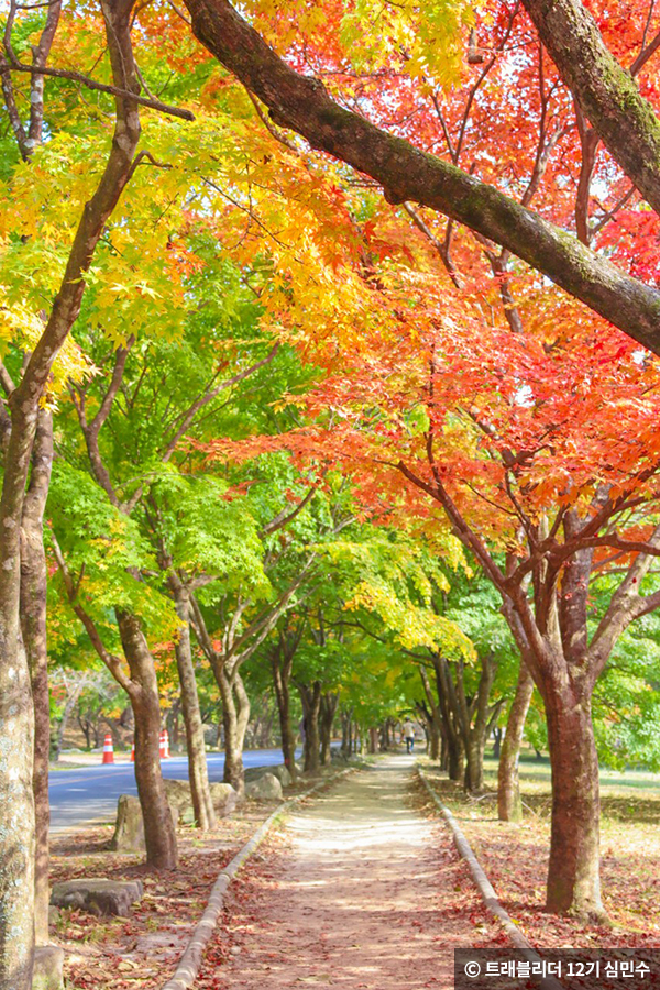 울긋불긋 물든 등산로 ⓒ 트래블리더 12기 심민수