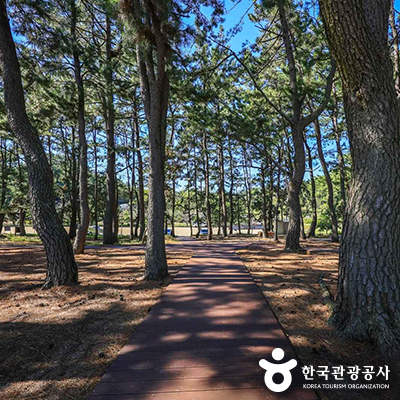 ⓒ 한국관광공사