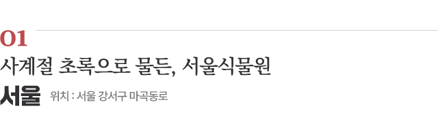 01 사계절 초록으로 물든, 서울식물원 / 위치 : 서울 강서구 마곡동로 / 자세히보기