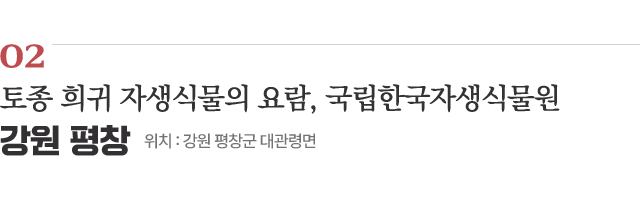 02 토종 희귀 자생식물의 요람, 국립한국자생식물원 / 위치 : 강원 평창군 대관령면 / 자세히보기