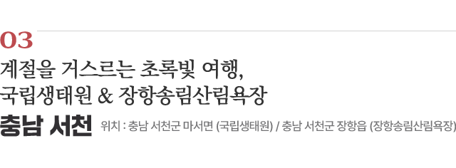 03 계절을 거스르는 초록빛 여행, 국립생태원 & 장항송림산림욕장 / 위치 : 충남 서천군 마서면 (국립생태원) 충남 서천군 장항읍 (장항송림산림욕장) / 자세히보기