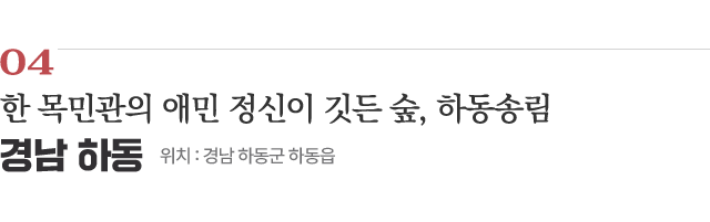 04 한 목민관의 애민 정신이 깃든 숲, 하동송림 / 위치 : 경남 하동군 하동읍 / 자세히보기