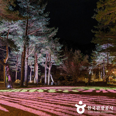 수목원 입구에서부터 시작되는 화려한 조명 ⓒ 한국관광공사