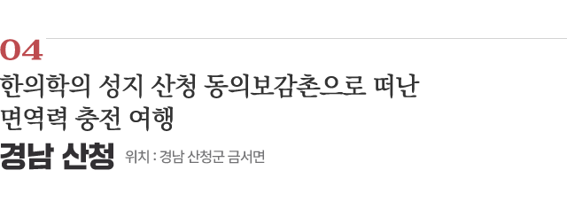 04 한의학의 성지 산청 동의보감촌으로 떠난 면역력 충전 여행 / 위치 : 경남 산청군 금서면 / 자세히보기