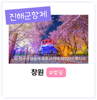 진해군항제 ⓒ한국관광공사 포토코리아 라이브스튜디오 창원 #벚꽃