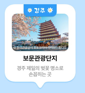 경주 ⓒ한국관광공사 포토코리아 라이브스튜디오 보문관광단지 경주 제일의 벚꽃 명소소로 손꼽히는 곳