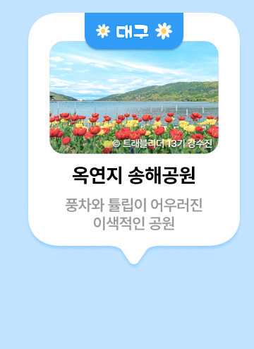 대구 ⓒ트래블리더 13기 강수진 옥연지 송해공원 풍차와 튤립이 어우러진 이색적인 공원