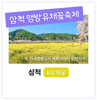 삼척 맹방유채꽃축제 ⓒ한국관광공사 포토코리아 강원지사 삼척 #유채꽃